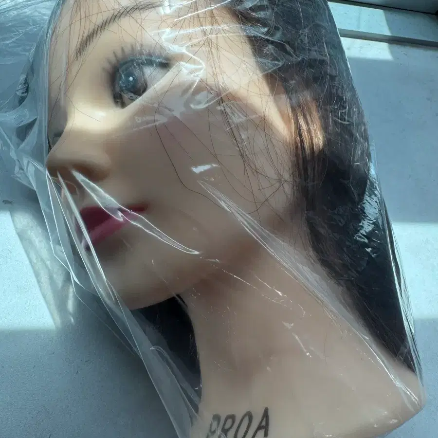 프로아 인모100