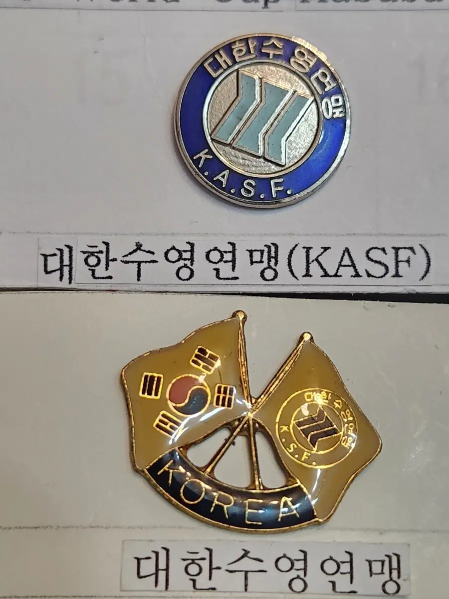 배지, 대한수영연맹 뱃지 2종 (KASF)