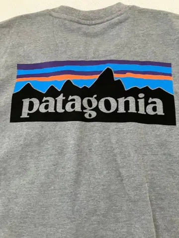 Patagonia 맨투맨 그레이