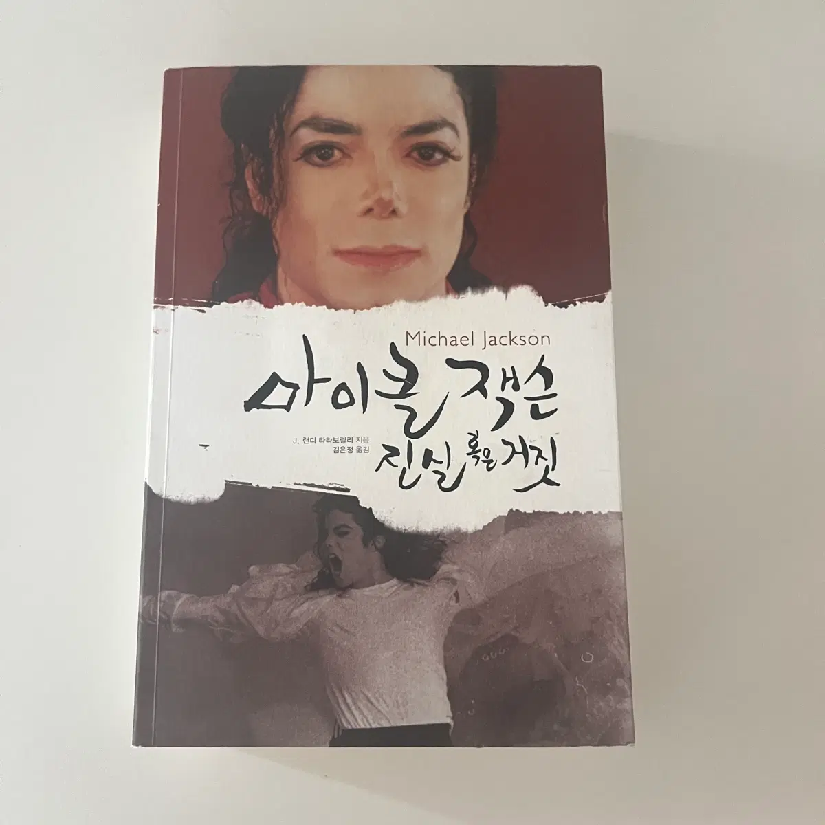 마이클 잭슨 진실 혹은 거짓 책