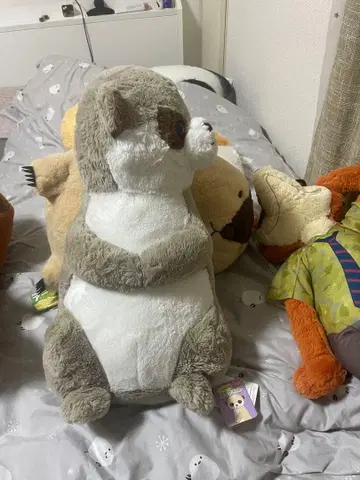 미어캣 봉제 인형