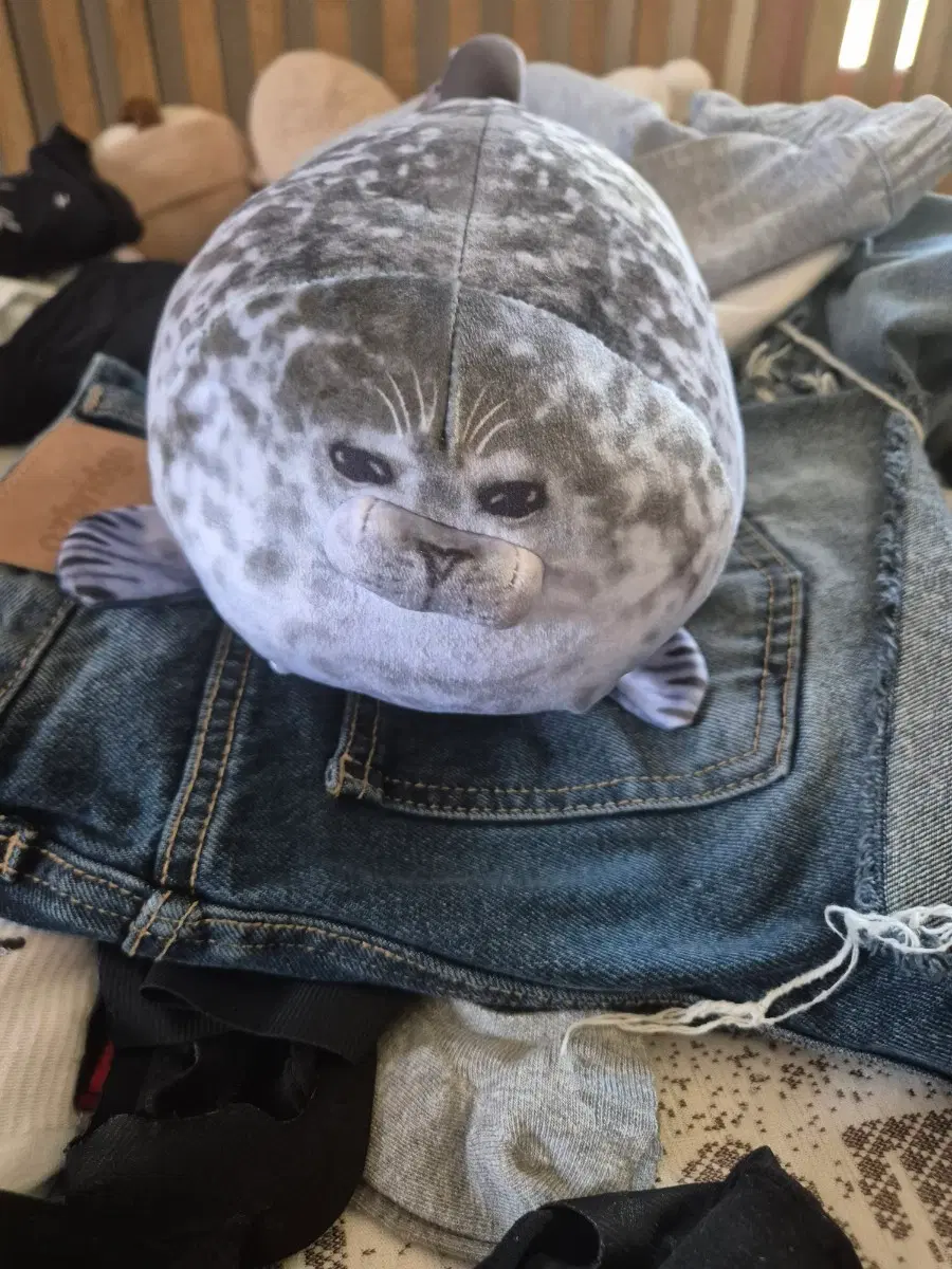 물범 인형