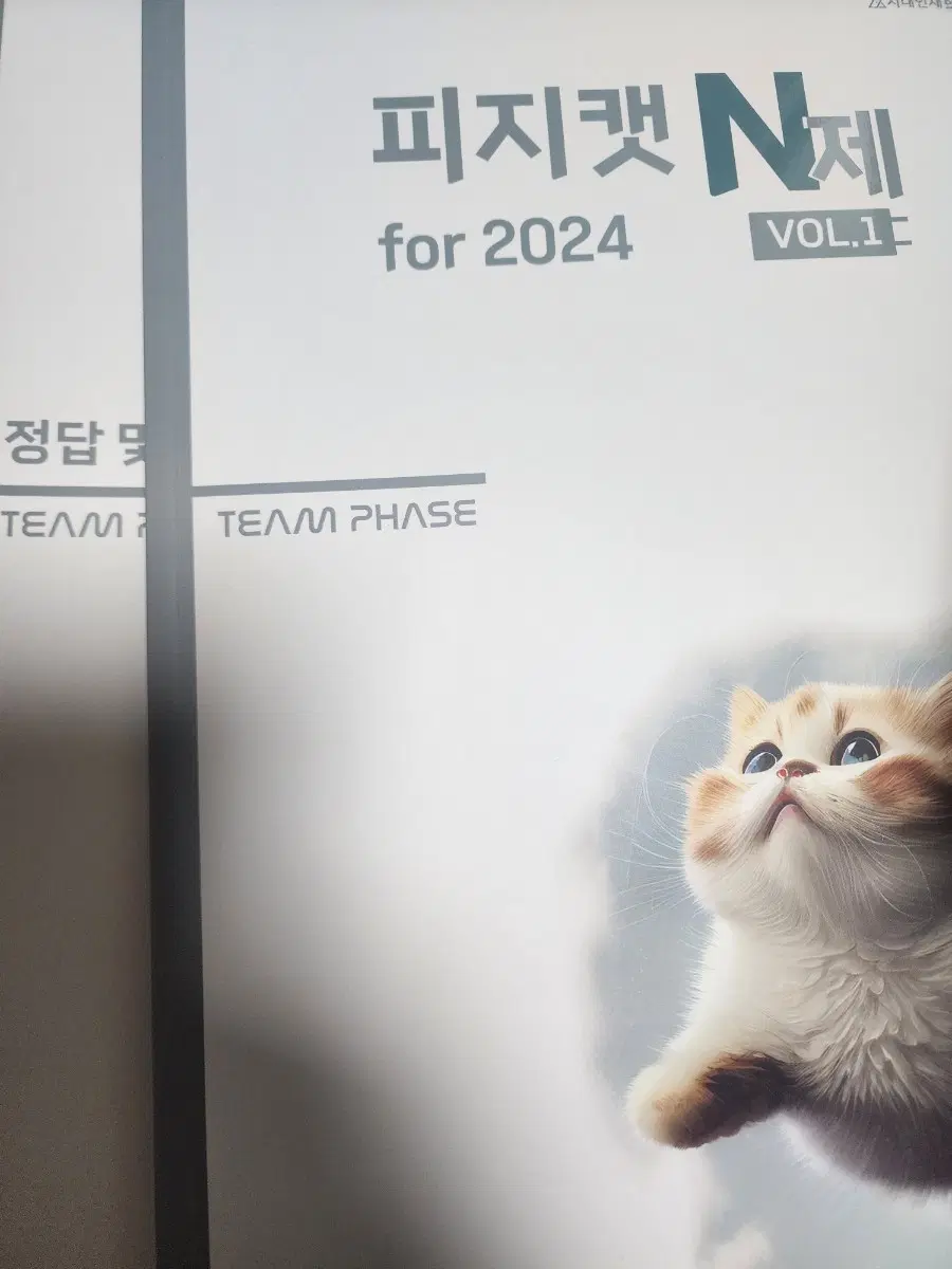 피지캣 N제 for 2024 VOL.1 team phase 물리1