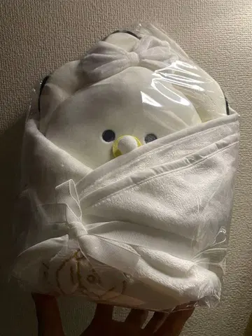 동글동글한 눈의 생굴 냉감 담요