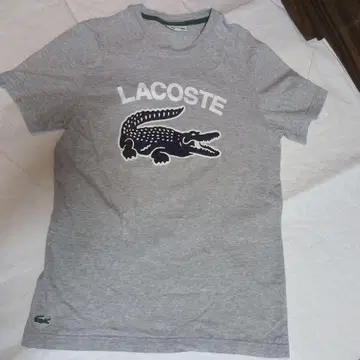 LACOSTE 라코스테 남성용 T셔츠 그레이