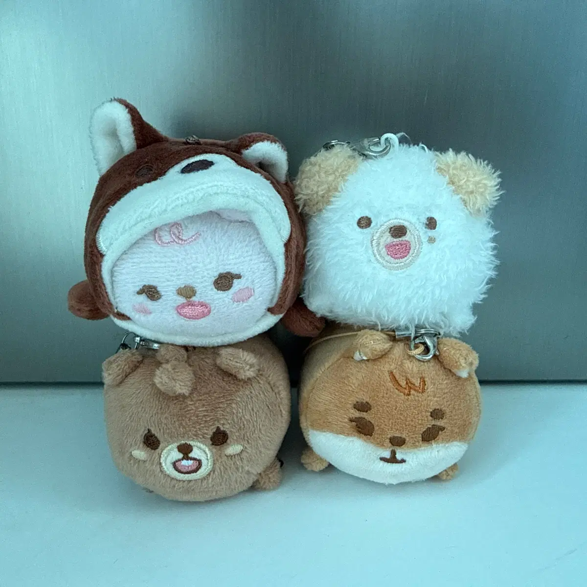 데이식스 21 사족보행 쁘띠멀즈 일괄 양도