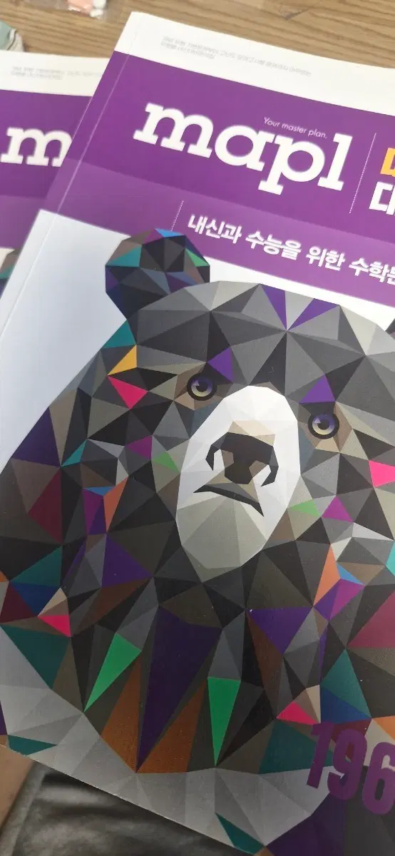 (중고) 마플시너지 대수