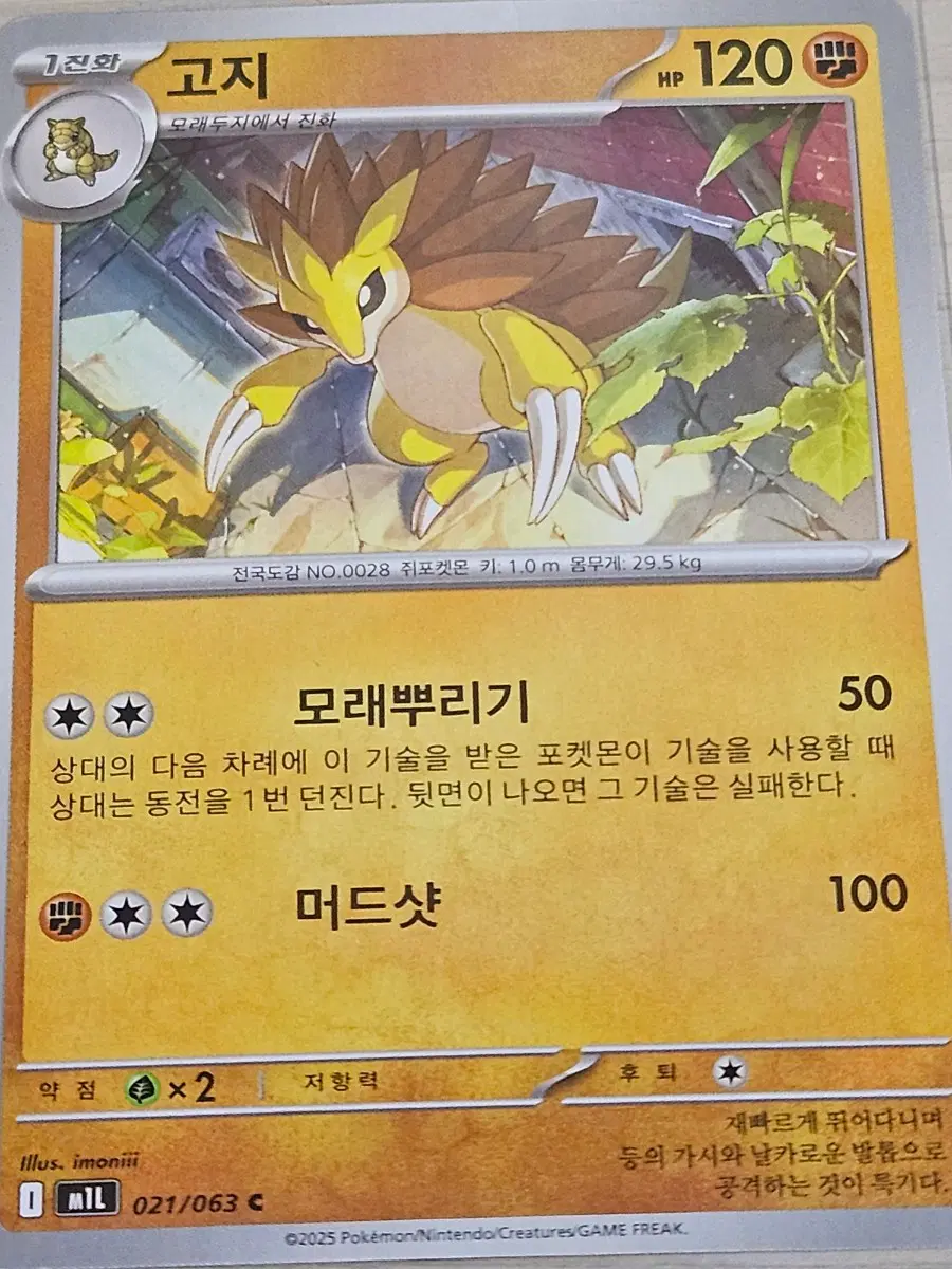 포켓몬카드 고지