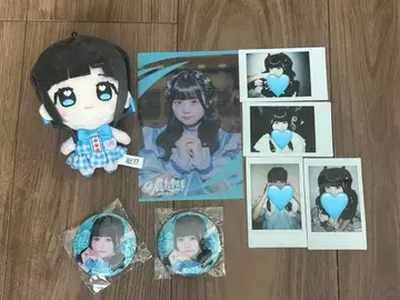 iLife 무지개 깃털 미니 묶음 판매