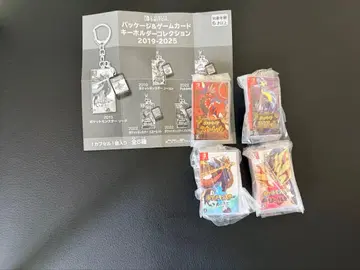 포켓몬 카트리지 키링 2019-2025 4종 세트