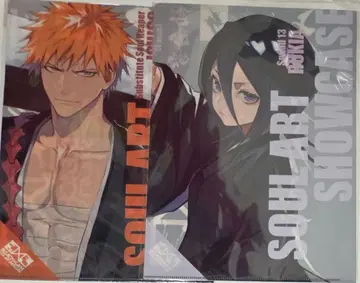 BLEACH LAM 클리어 파일 쿠로사키 이치고 후목 루키아