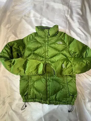 THE NORTH FACE 550 downjacket