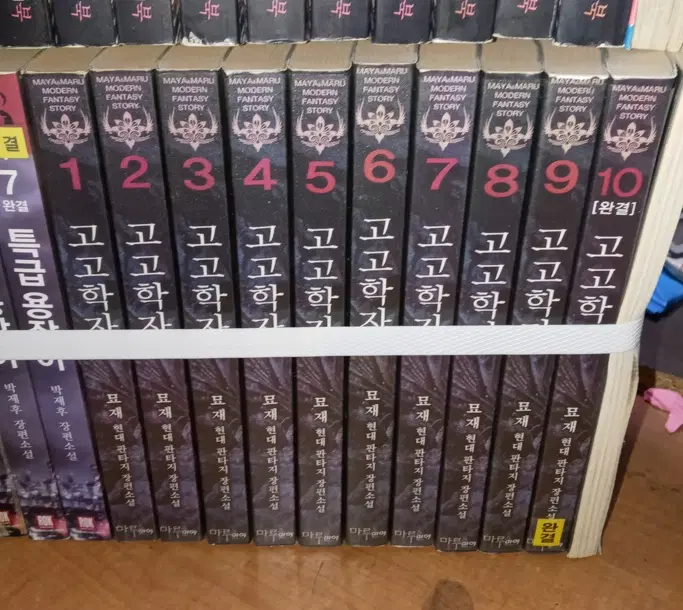 고고학자 (작은책-현대판타지) 1-10 완 /상태(중)/마루