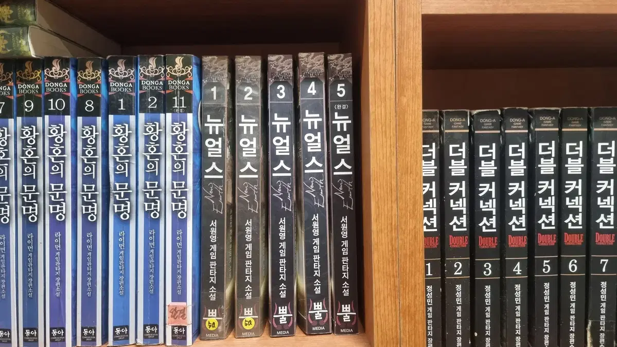 뉴얼스 1-5 완 서원영 게임판타지 소설