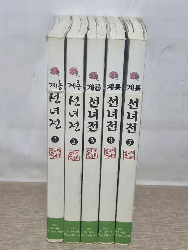 계룡선녀전 (1~5 완결) /중급