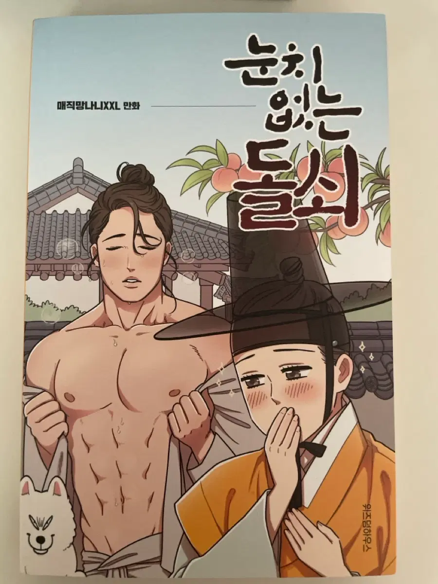 눈치 없는 돌쇠(새책)