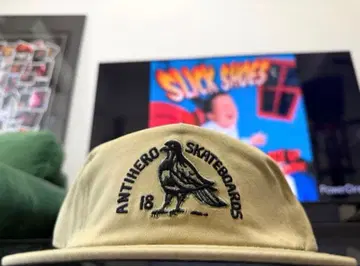 USA ANTIHERO SKATEBOARDS 스케이트보드 캡 베이지