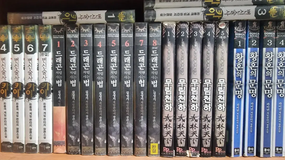 드래곤처럼사는법 1-8 완 김성기 게임판타지 소설