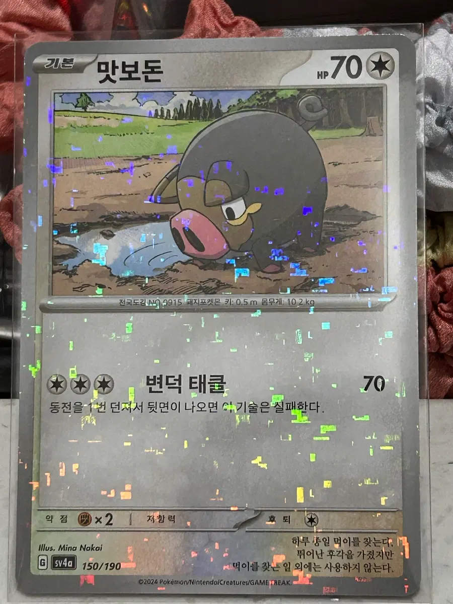 포켓몬 카드 맛보돈 150/190 홀로그램