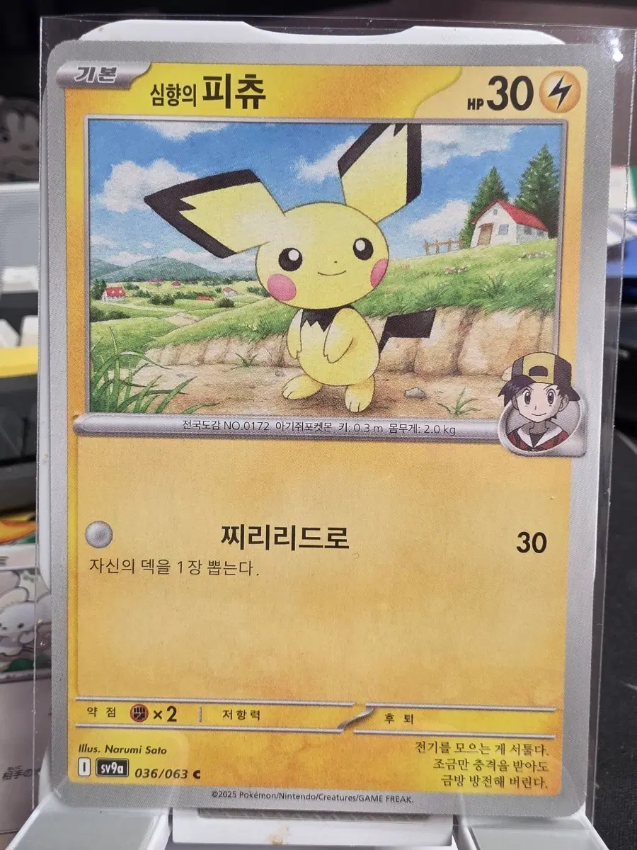 포켓몬 카드 심향의 피츄 30 HP