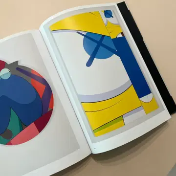 카우스 kaws 아트북 WHERE THE END STARTS | 브랜드 중고거래 플랫폼