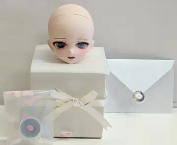 p-house DD 커스텀 헤드 DDH-10 세미 화이트 스킨