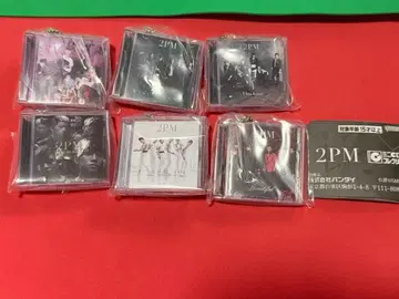 2pm 미니 CD 컬렉션 6종 키링 가챠 가샤폰