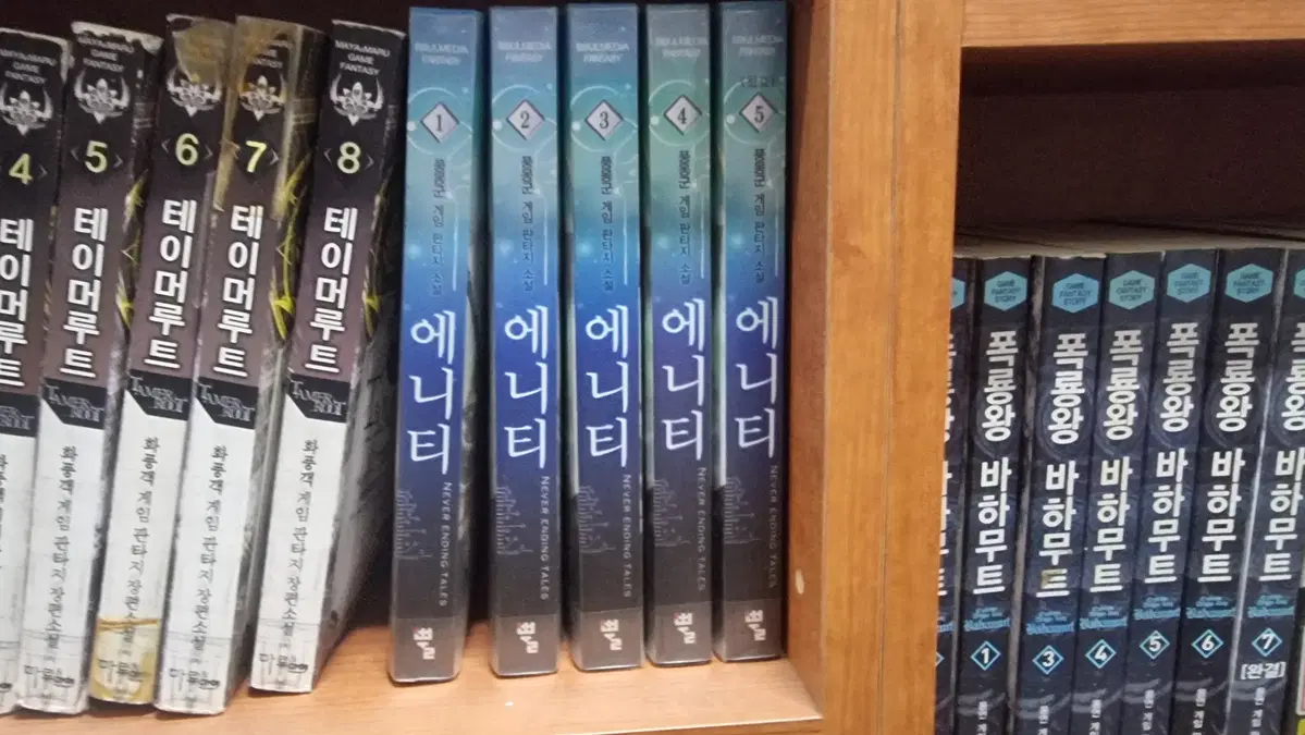 에니티 1-5 완 풍몽군 게임판타지 소설