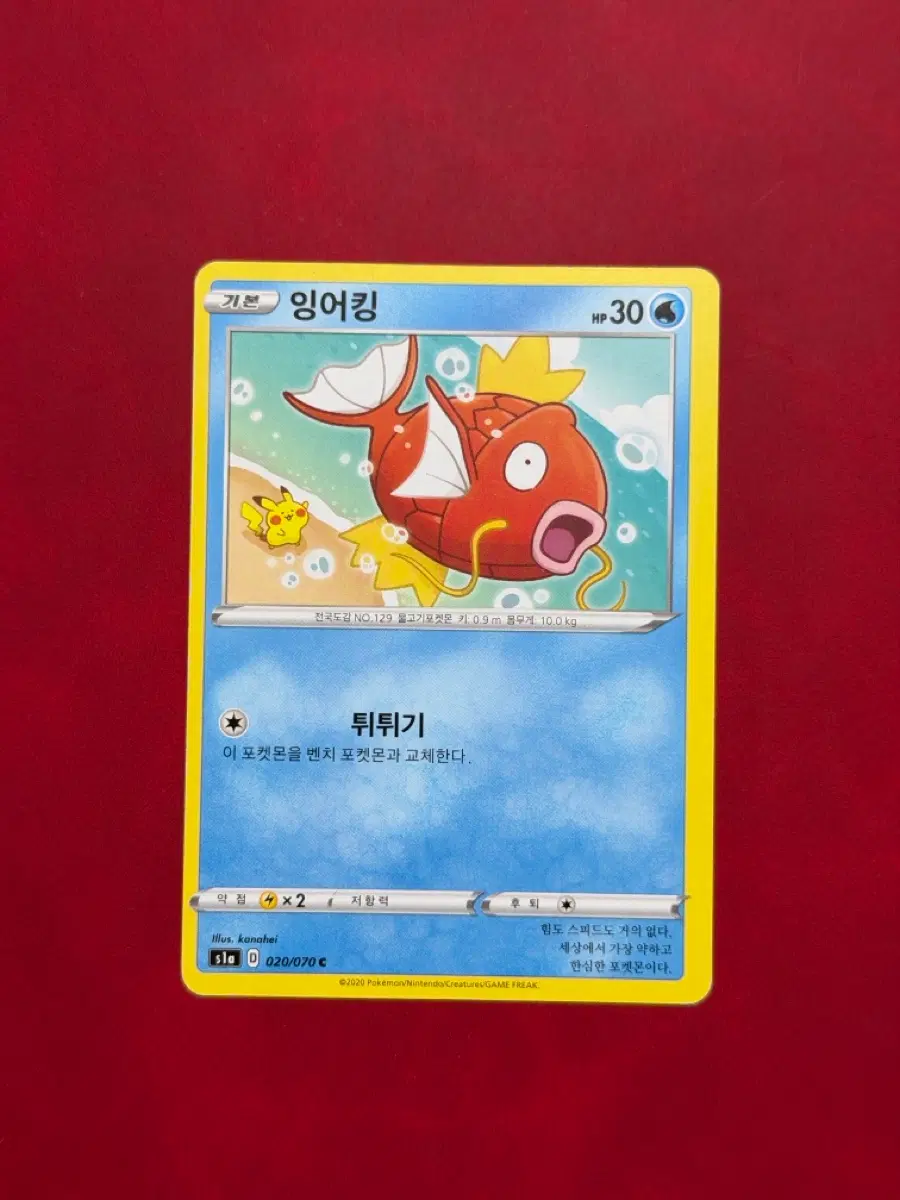 귀여운 포켓몬 고전 카드 카나헤이 잉어킹(피카츄) 쏠림