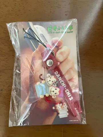 아라시 피칸치 더블 스트랩 키링 단치치