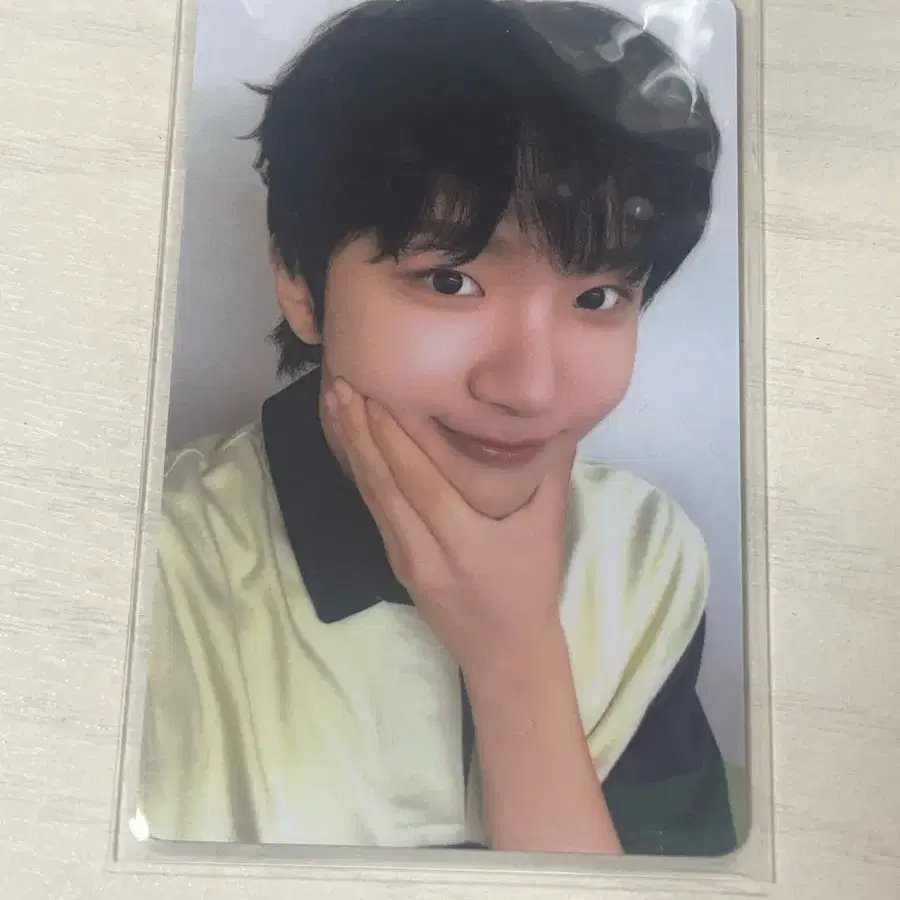 아궁빵 보넥도 운학 포카 양도