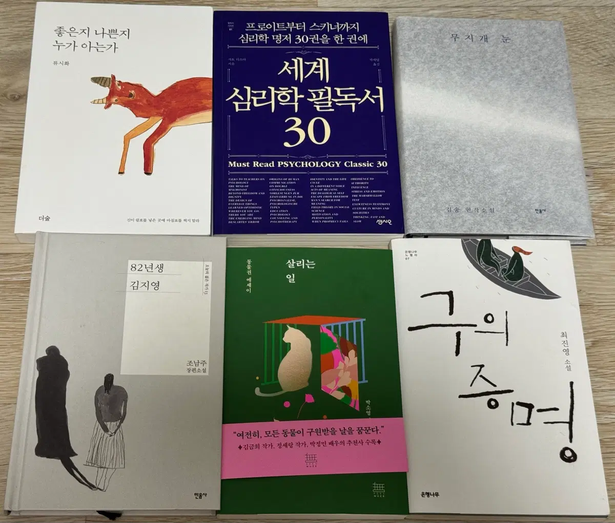 좋은지나쁜지누가아는가 무지개눈 82년생김지영 살리는일 구의증명 책