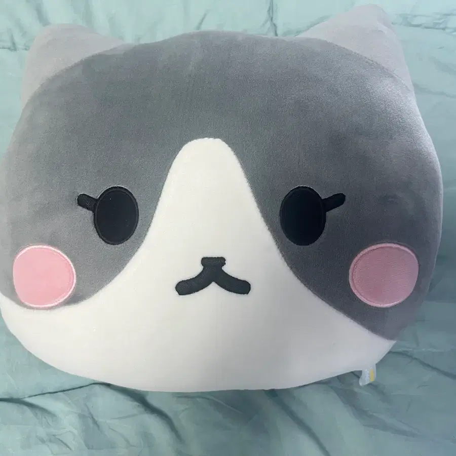 샤이니 태민 꿍댕이 꿍 쿠션