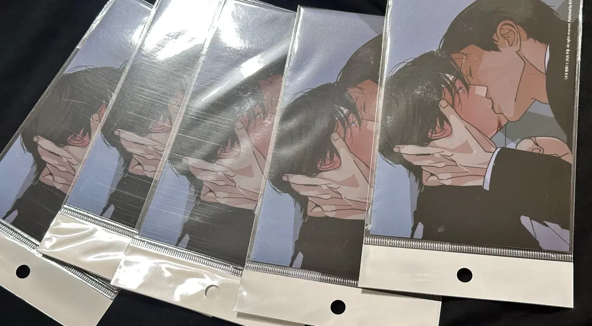 레봄 살롱드르봉 주평 주의평화 필름 인화사진