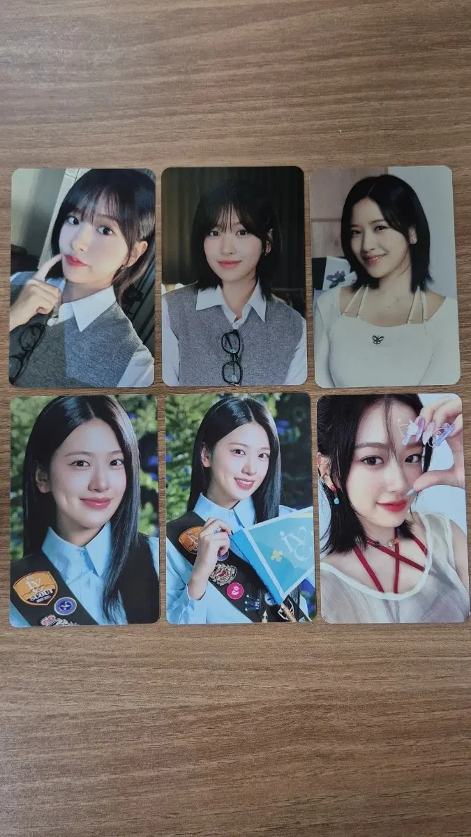 아이브 유진 포카 일괄
