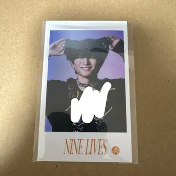 초특급 NINE LIVES 미니 사진 카시와기 하루 하루 사인 포함