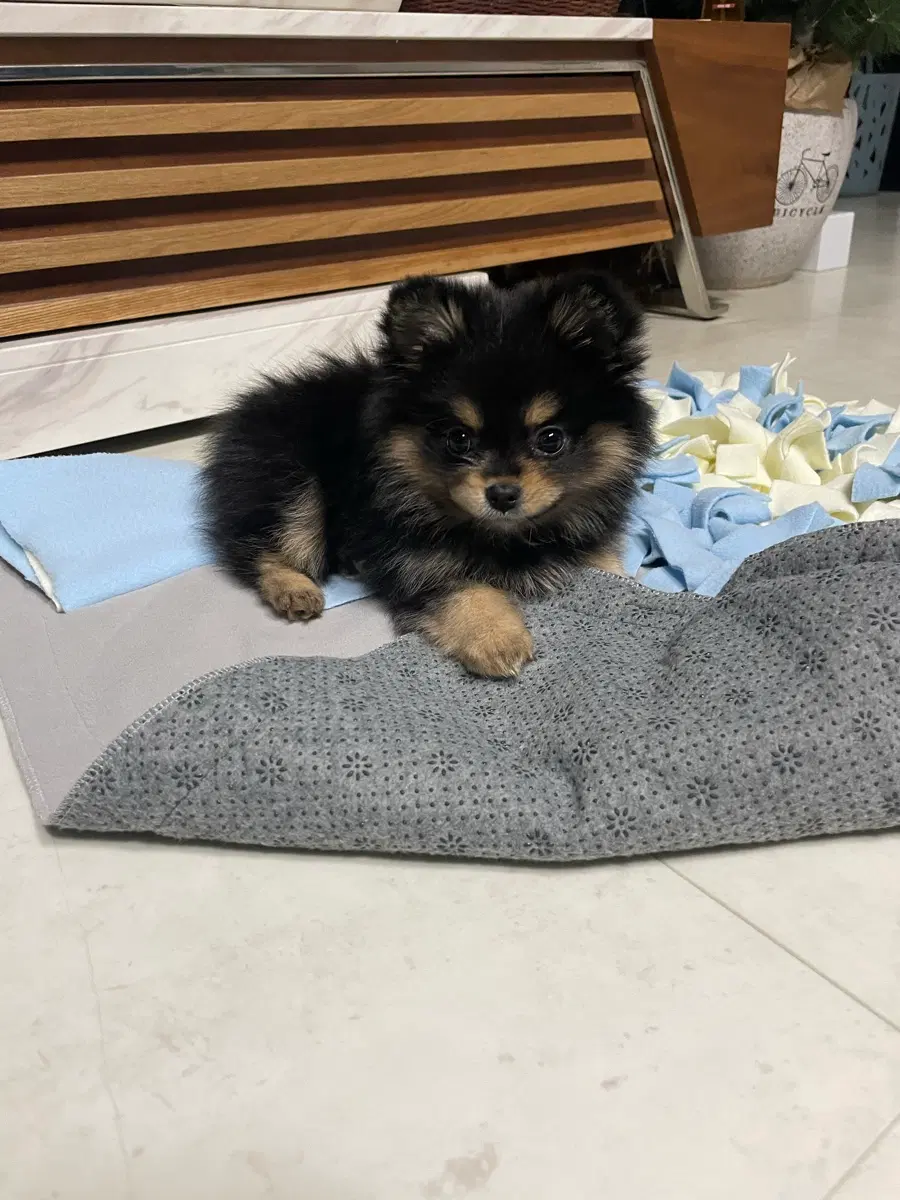 [9/29 추가] 통판,입점처 구매완료 목록