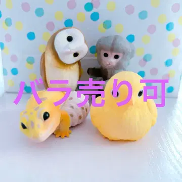 테노리 프렌즈 병아리 멘올빼미 피그미마모셋 레오파드게코