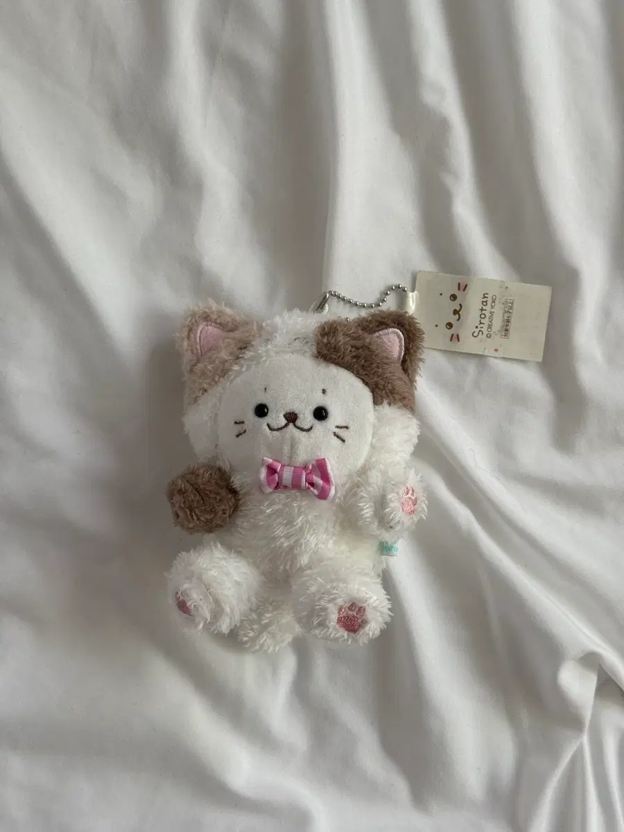 고전 고양이 시로탄 인형