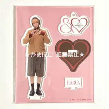&TEAM HARUA 하루아 아크릴 스탠드 ( & ) 1