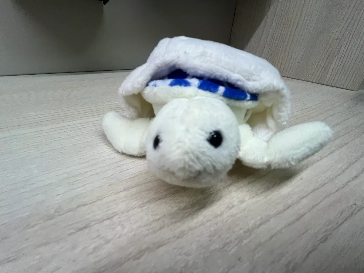 인형 거북이 화이트