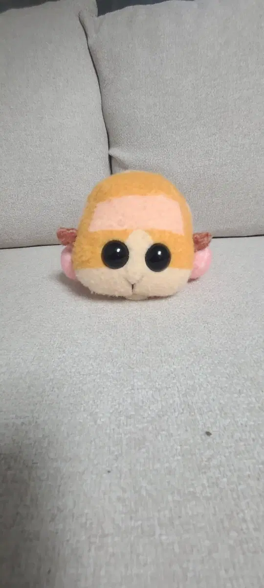 뿌이뿌이 모루카 봉제인형