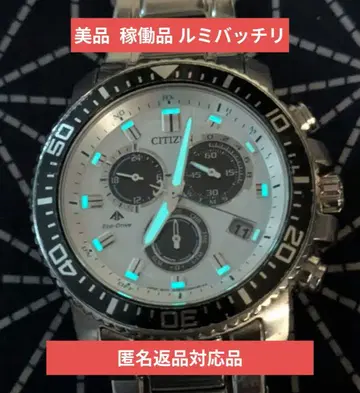 CITIZEN 시티즌 프로 마스터 에코 드라이브 전파 남성용 손목시계 팬더