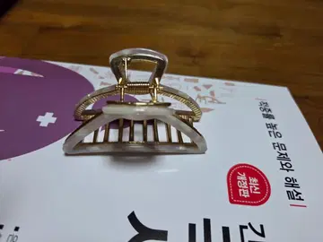 헤어 집게핀
