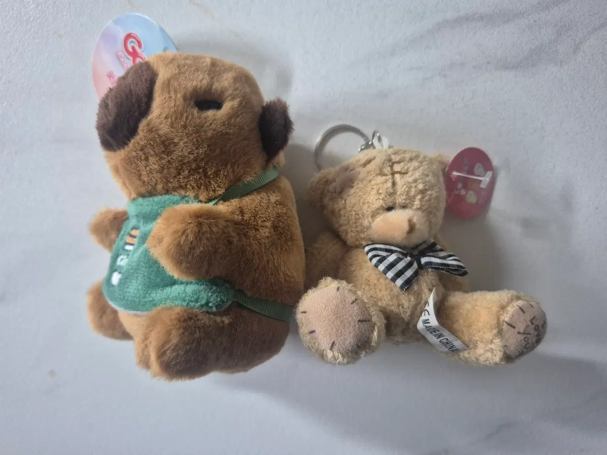 카피바라 및 사자 인형 일괄