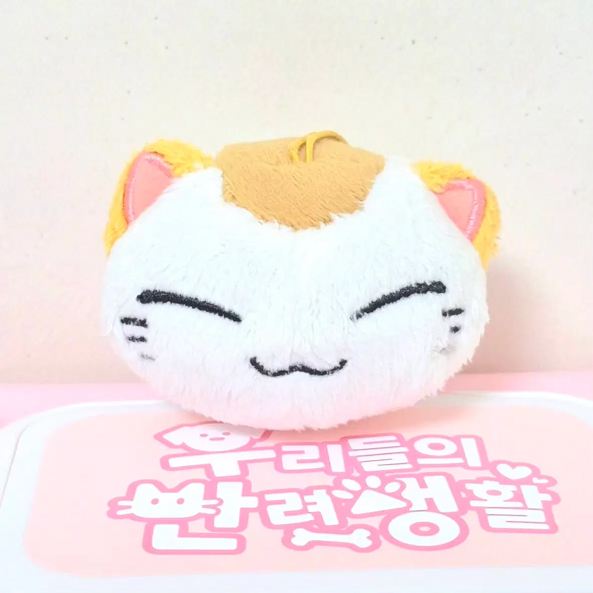 고전 빈티지 네무네코 고양이 인형 키링