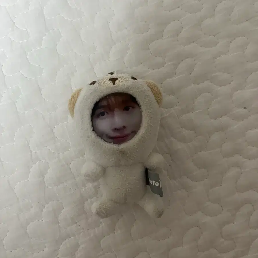 라이즈 성찬 포토톡