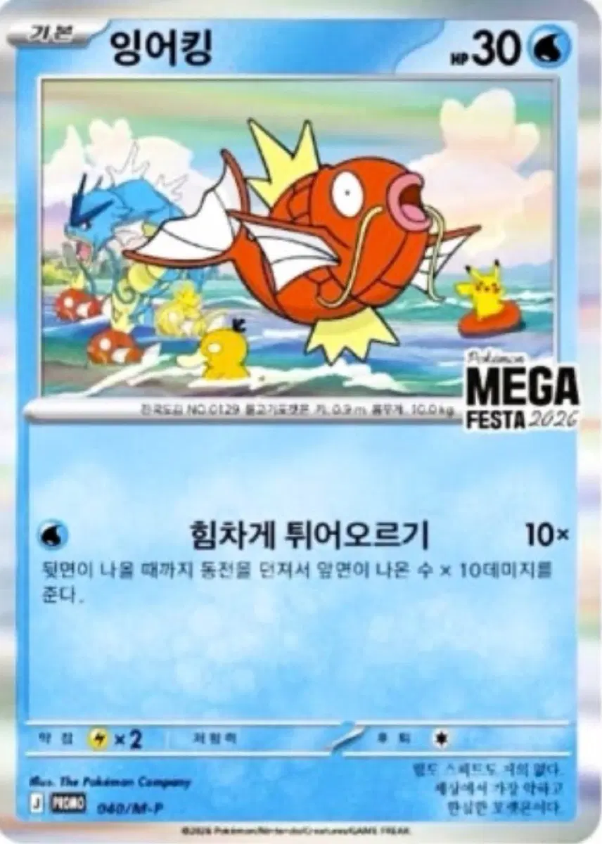 잉어킹 프로모 카드 미개봉