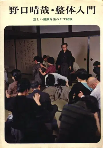 노구치 하루야 정체 입문 올바른 건강을 만들어내는 비결