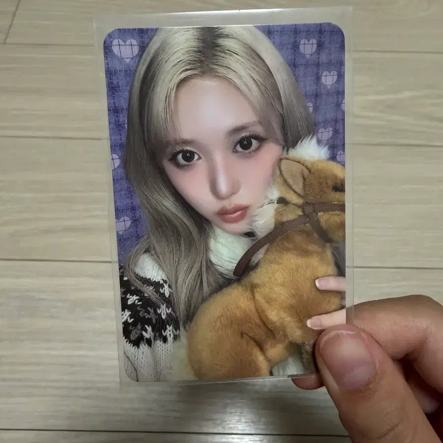아이브 2026 시즌그리팅 가을 포카